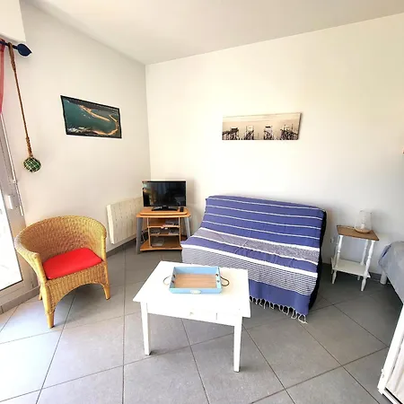 Lumineux Proche Et Commerces Aux Sables-d'olonne Animaux Admis - Fr-1-92-953 *