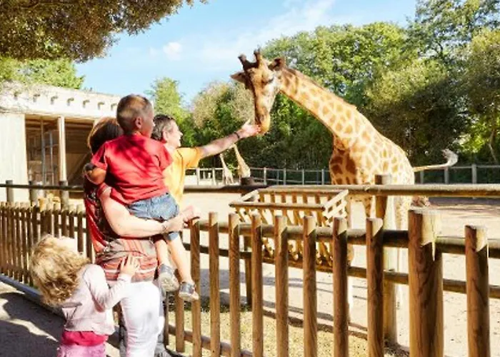 Apartmán Lumineux Proche Et Commerces Aux Sables-d'olonne Animaux Admis - Fr-1-92-953