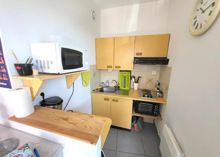 Lumineux Proche Et Commerces Aux Sables-d'olonne Animaux Admis - Fr-1-92-953